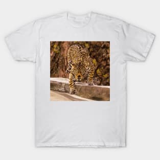 Jaguar T-Shirt